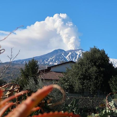 Agriturismo Etna-Mare ピエディモンテ・エトネーオ エクステリア 写真