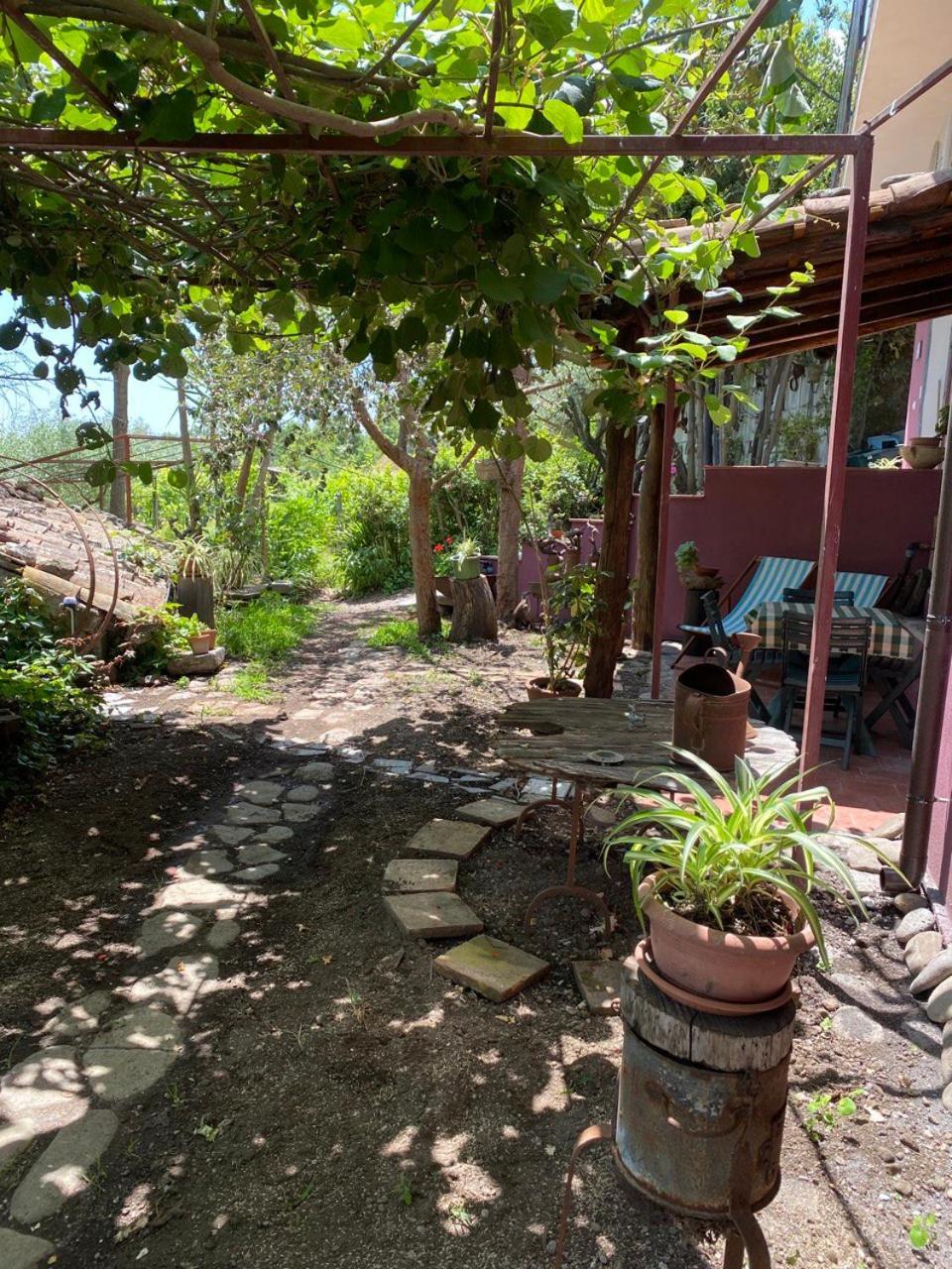 Agriturismo Etna-Mare ピエディモンテ・エトネーオ エクステリア 写真