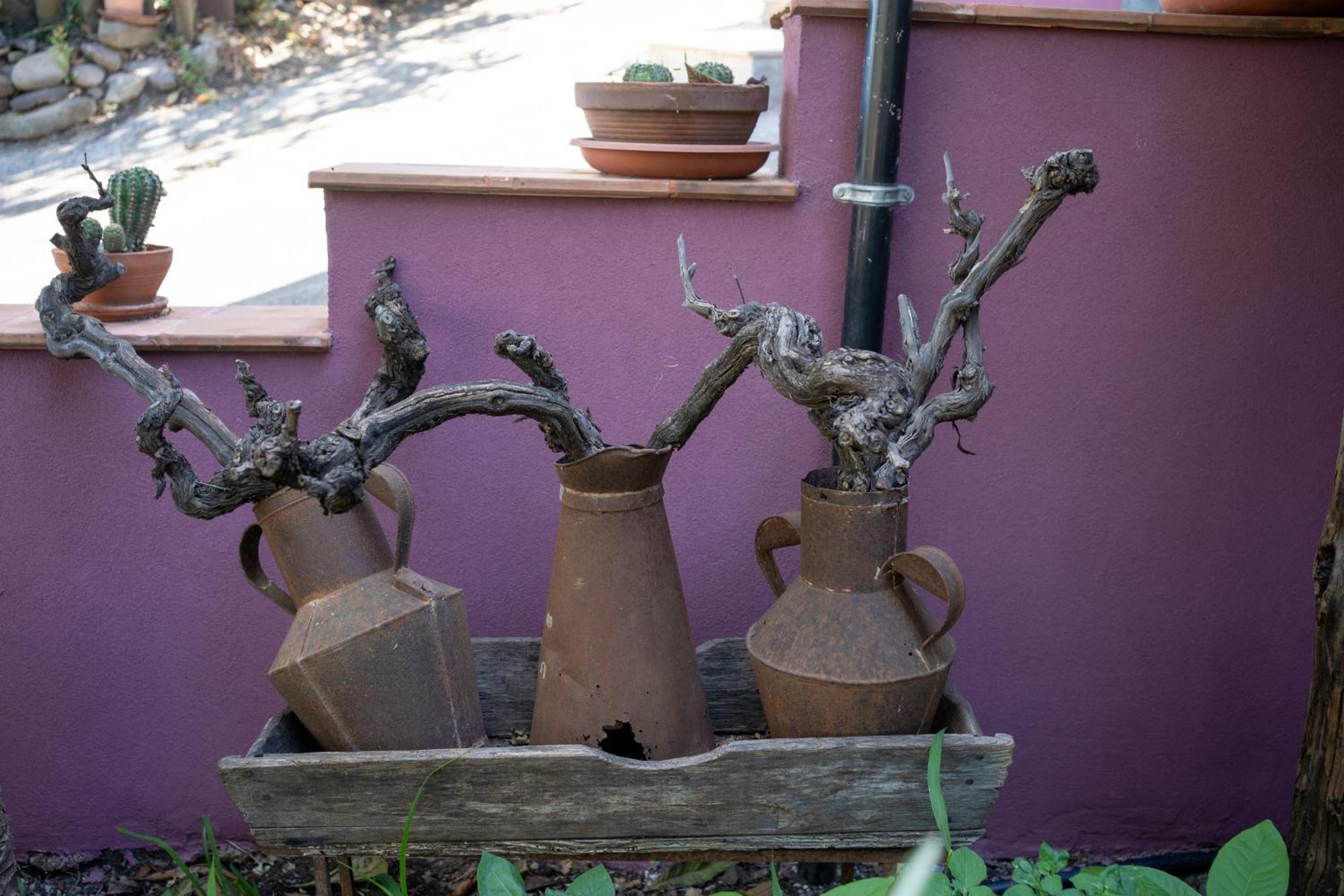 Agriturismo Etna-Mare ピエディモンテ・エトネーオ エクステリア 写真