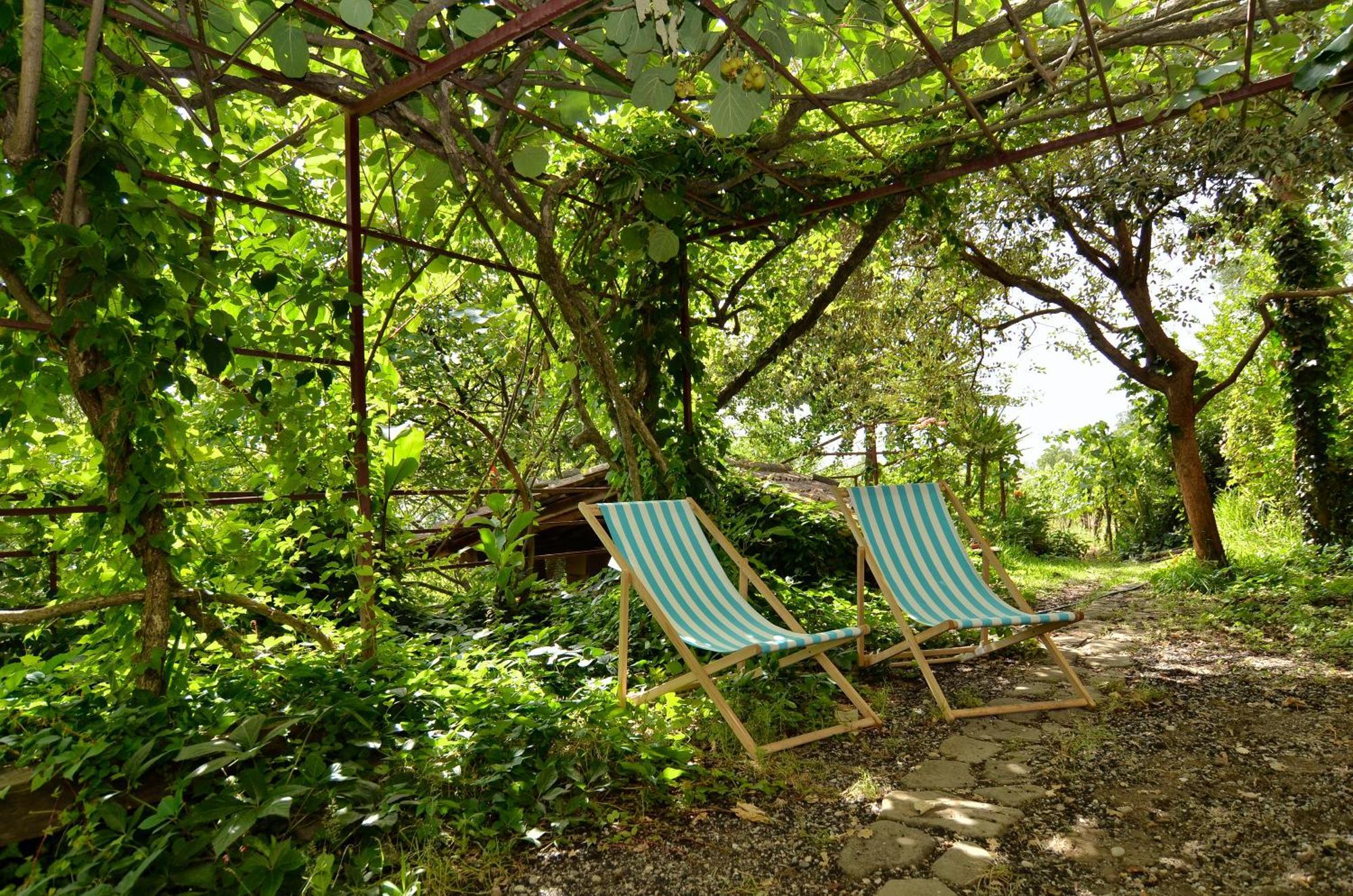 Agriturismo Etna-Mare ピエディモンテ・エトネーオ 部屋 写真