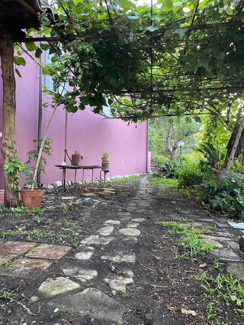 Agriturismo Etna-Mare ピエディモンテ・エトネーオ 部屋 写真