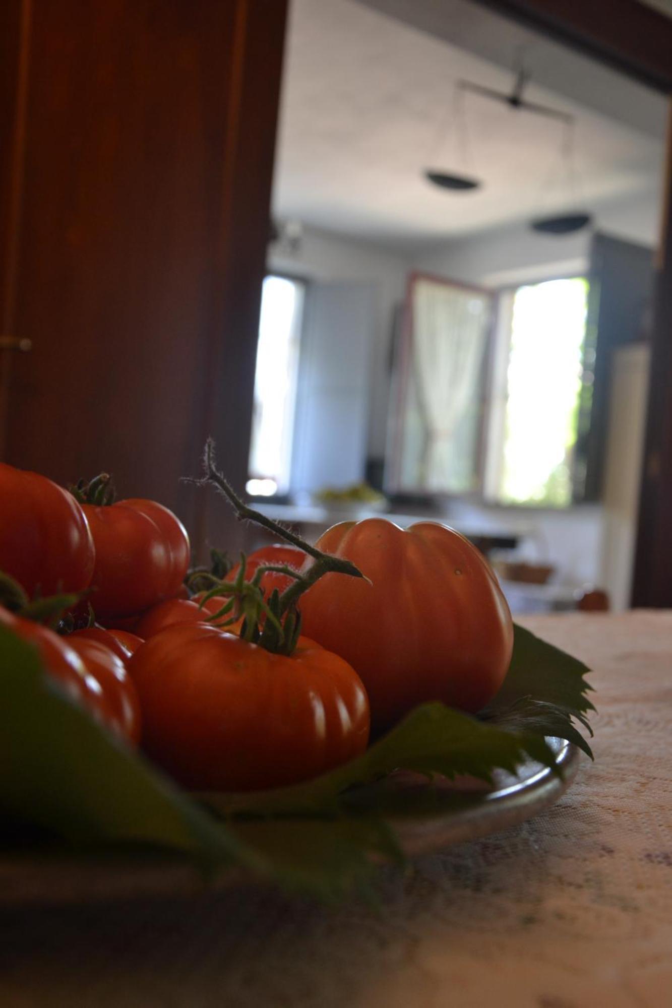 Agriturismo Etna-Mare ピエディモンテ・エトネーオ 部屋 写真