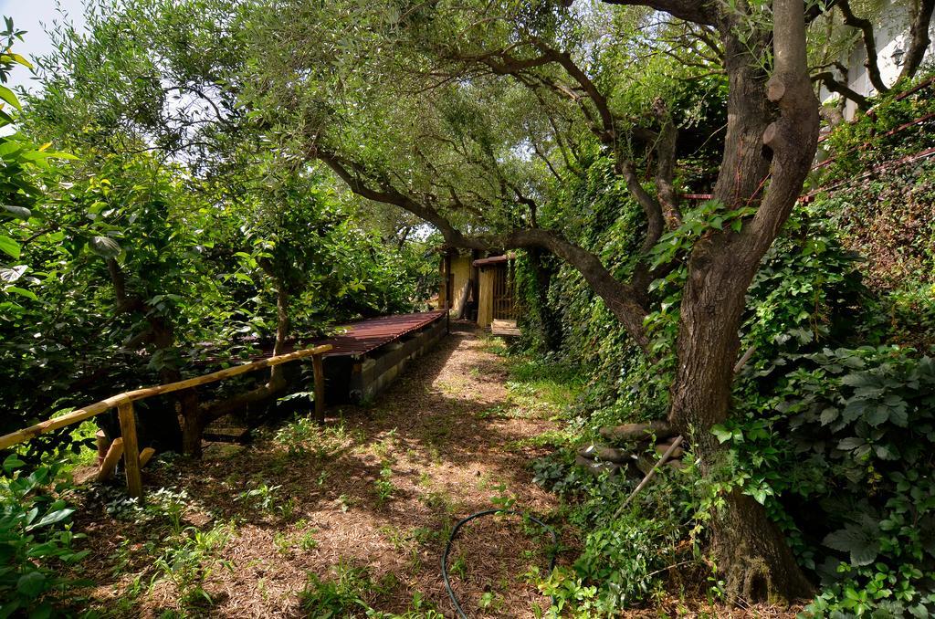 Agriturismo Etna-Mare ピエディモンテ・エトネーオ エクステリア 写真