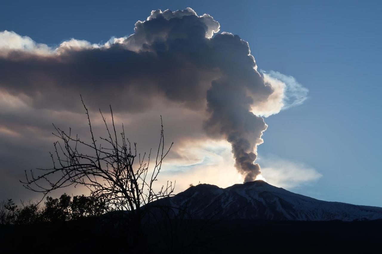 Agriturismo Etna-Mare ピエディモンテ・エトネーオ エクステリア 写真