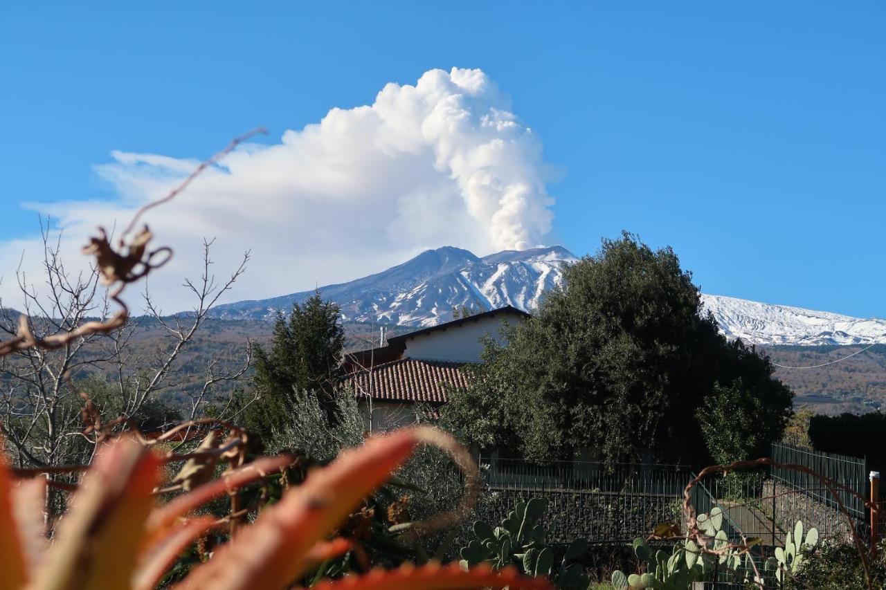 Agriturismo Etna-Mare ピエディモンテ・エトネーオ エクステリア 写真